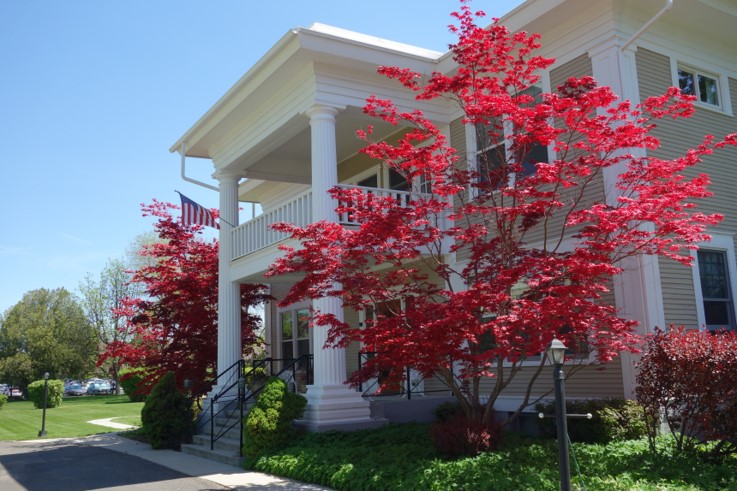 56DCB90B599045C4AEC848D7113171D5